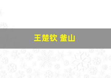 王楚钦 釜山